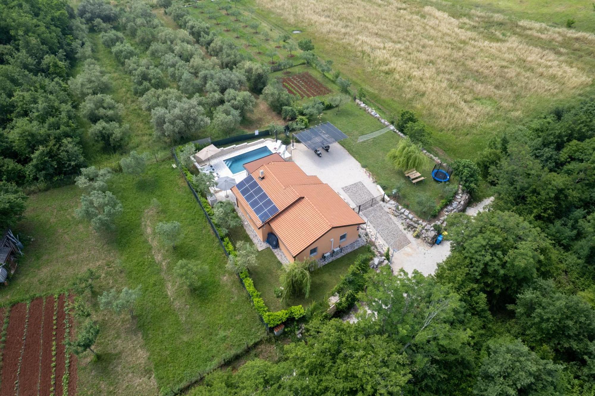 Villa Pendolina With Private Pool Buje Buitenkant foto