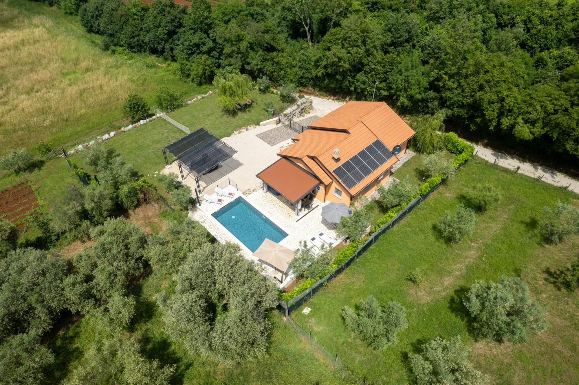 Villa Pendolina With Private Pool Buje Buitenkant foto