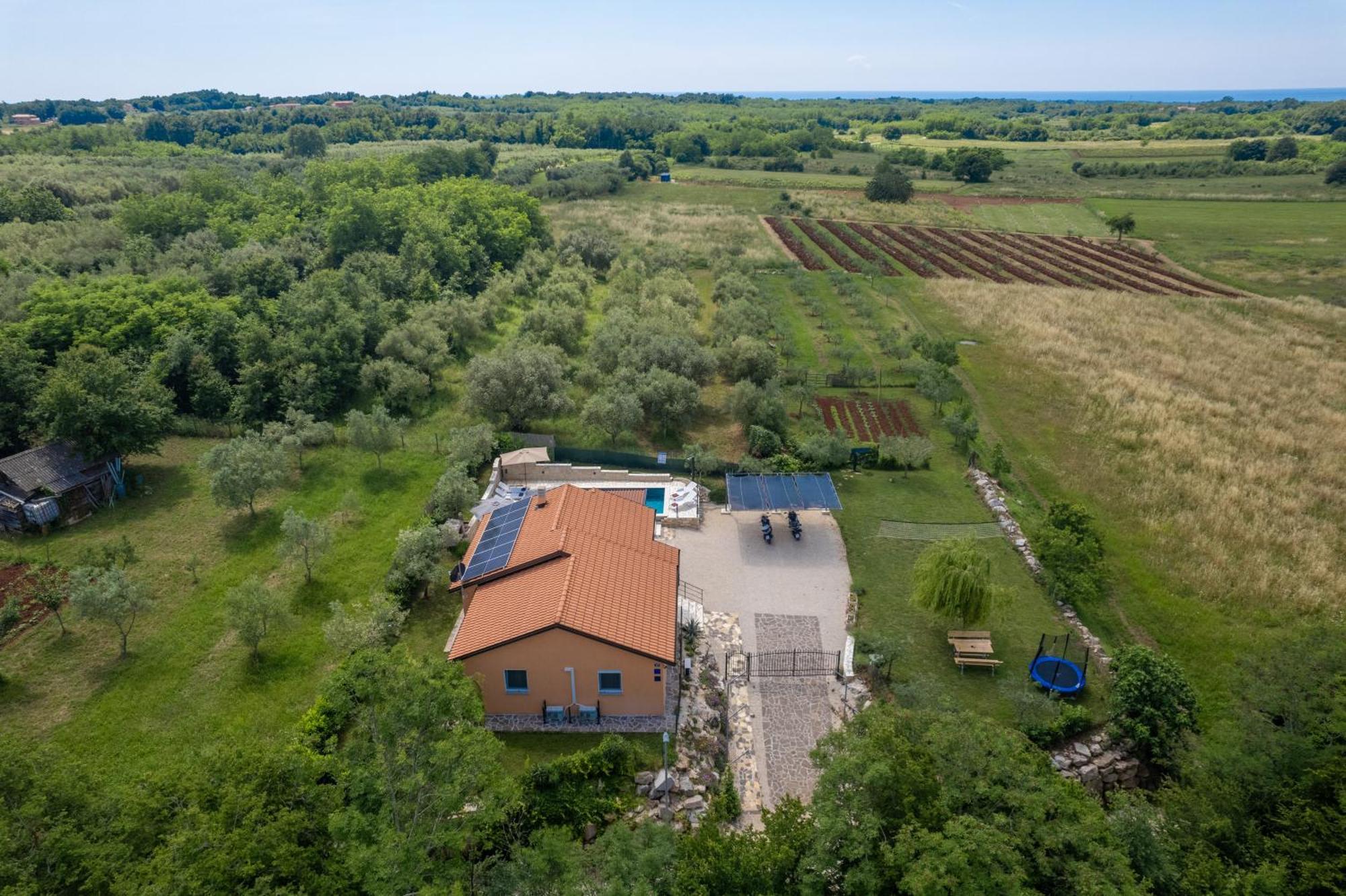 Villa Pendolina With Private Pool Buje Buitenkant foto