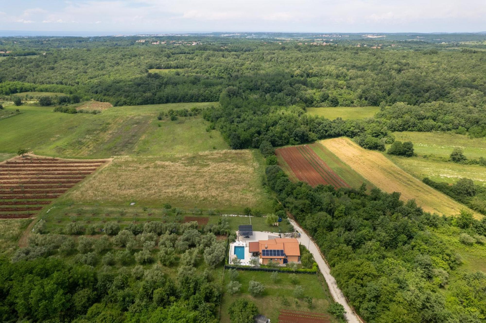 Villa Pendolina With Private Pool Buje Buitenkant foto